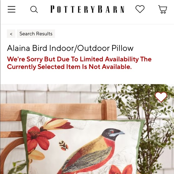 Pottery Barn Alaina Bird Large 20x20 Indoor/Outdoor Pillow with Florals … - Picture 14 of 15